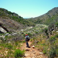 Nearing the mouth of the Steenbras River