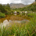 Views of the Wit River in Bains Kloof