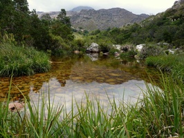 Views of the Wit River in Bains Kloof