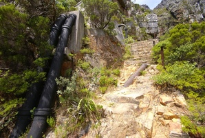Lots of pipework stretching up the Slangolie Ravine on Table Mountain