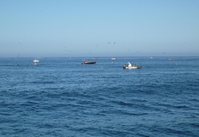 Lots of fishermen