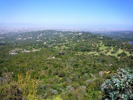 View over Kirstenbosch Gardens