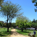 View inside the park