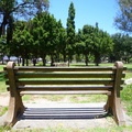 Bench in Pinelands Park