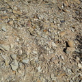Karoo stones