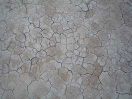 Mud cracks in Karoo
