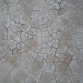 Mud cracks in Karoo