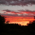 Stunning Karoo sunset