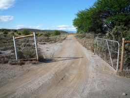 Road on Ronnie's Farm in Little Karoo, South Africa