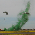 Parachutists landing in mock battle (Video)