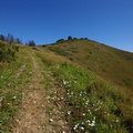 Steep path back up Signal Hill