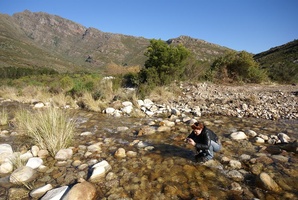 Bain's Kloof Pass Ride - Chantel in the river getting photos