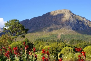 View of Franschhoek Mountain