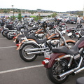 Harley's lined up at the end of the ride
