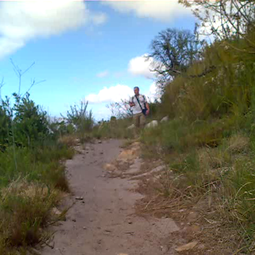 Contour Path - Constantia Nek to Rhodes Memorial