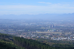 View of Pinelands from Contour Path