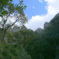 Upwrd view towards mountain peak