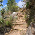 Beautiful path along Contour Path on Table Mountain