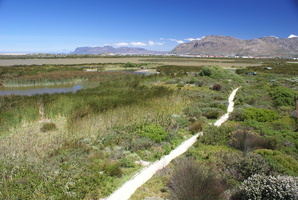 Rondevlei Nature Reserve, Cape Town