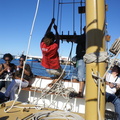 Sunset Cruise on sailing Boat, Cape Town