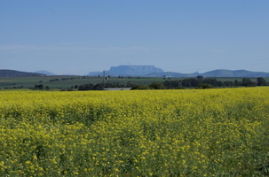 View of Table Mountain on the way back home