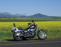 My bike on the road back to Cape Town via Durbanville