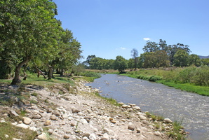 River at The Riverside, Franschhoek