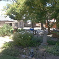 Gavin's Garden at Kleinmond