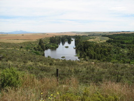 Outside Swellendam, South Africa