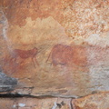 Bushman Paintings at Kagga Kamma Private Nature Reserve