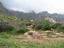 View up Mountain Path, East Fort, Hout Bay