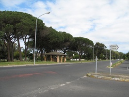 View down Forest Drive, Pinelands