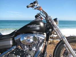 Harley at the Sea!