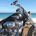 Harley at the Sea!