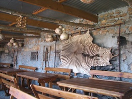View inside the bush pub