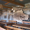 View inside the bush pub