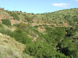 View of old road near East Poort Station, South Africa
