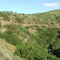 View of old road near East Poort Station, South Africa