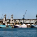 Fishing Boats at Cape Town harbour