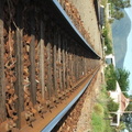 Locomotive Lodge Lines