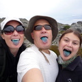 Blue tongues