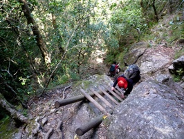 Descending the ladders in Skeleton Gorge