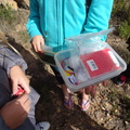 Found the geocache at top of Franschhoek Pass