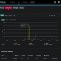 Fitbit - Day Activity Overview