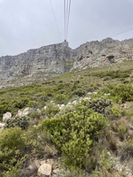 View from bottom towards Upper Cableway Station